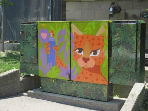 Spray Paint Cat